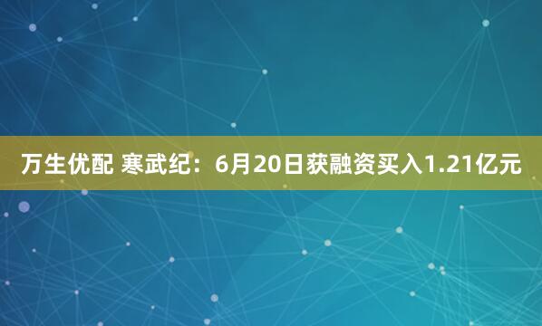 万生优配 寒武纪：6月20日获融资买入1.21亿元