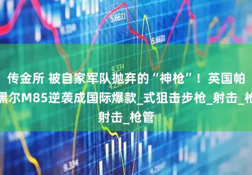 传金所 被自家军队抛弃的“神枪”！英国帕克黑尔M85逆袭成国际爆款_式狙击步枪_射击_枪管