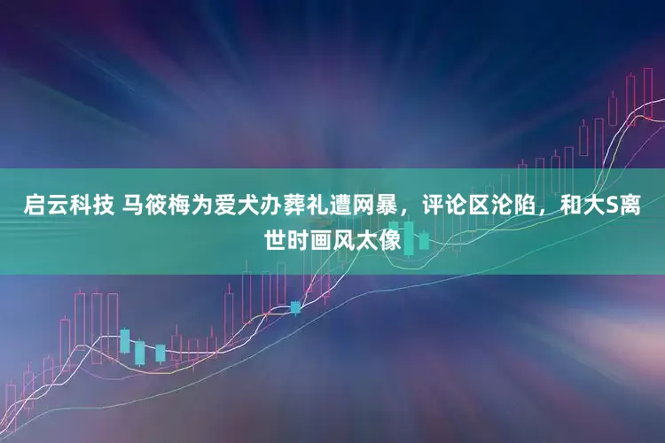 启云科技 马筱梅为爱犬办葬礼遭网暴，评论区沦陷，和大S离世时画风太像