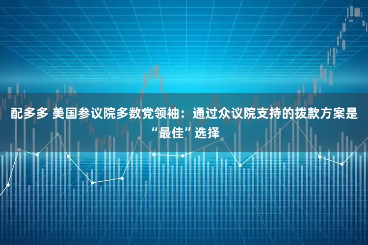 配多多 美国参议院多数党领袖：通过众议院支持的拨款方案是“最佳”选择