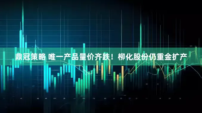 鼎冠策略 唯一产品量价齐跌！柳化股份仍重金扩产